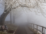Hohenpeißenberg, Nebel
