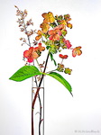 Bildbearbeitung Hortensie