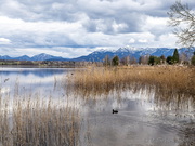Staffelsee