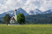 St. Coloman