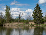 Machtlfinger Weiher