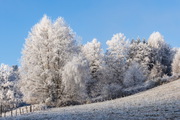 Peißenberg Rauhreif
