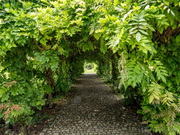 Sichtgarten Weihenstephan