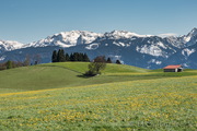 Allgäu