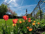 Starnberg Schlossgarten