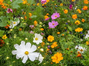 Peißenberg Ortseingang Kreisel