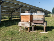 Peißenberg Solarfeld