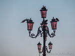 Lampe, Tauben, Venedig