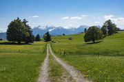 Allgäu