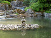 Botanischer Garten Augsburg