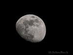 Mond