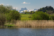 Haslacher See