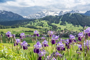 Berghof Halblech